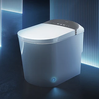 Smart Toilet Rimless Inbuild Tank ABS Floor Pan